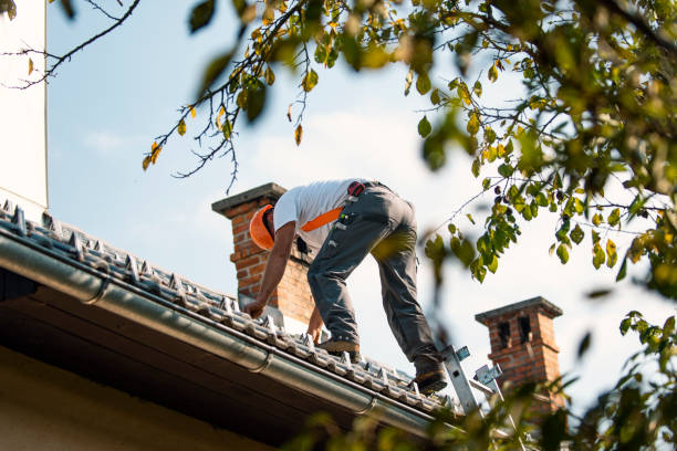 Best Residential Roofing Contractor  in South Bloomfield, OH
