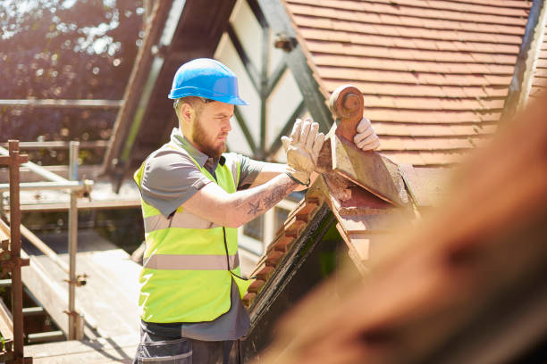 Best Roof Repair Services  in South Bloomfield, OH